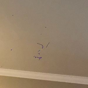 Meet your Posher, Zac